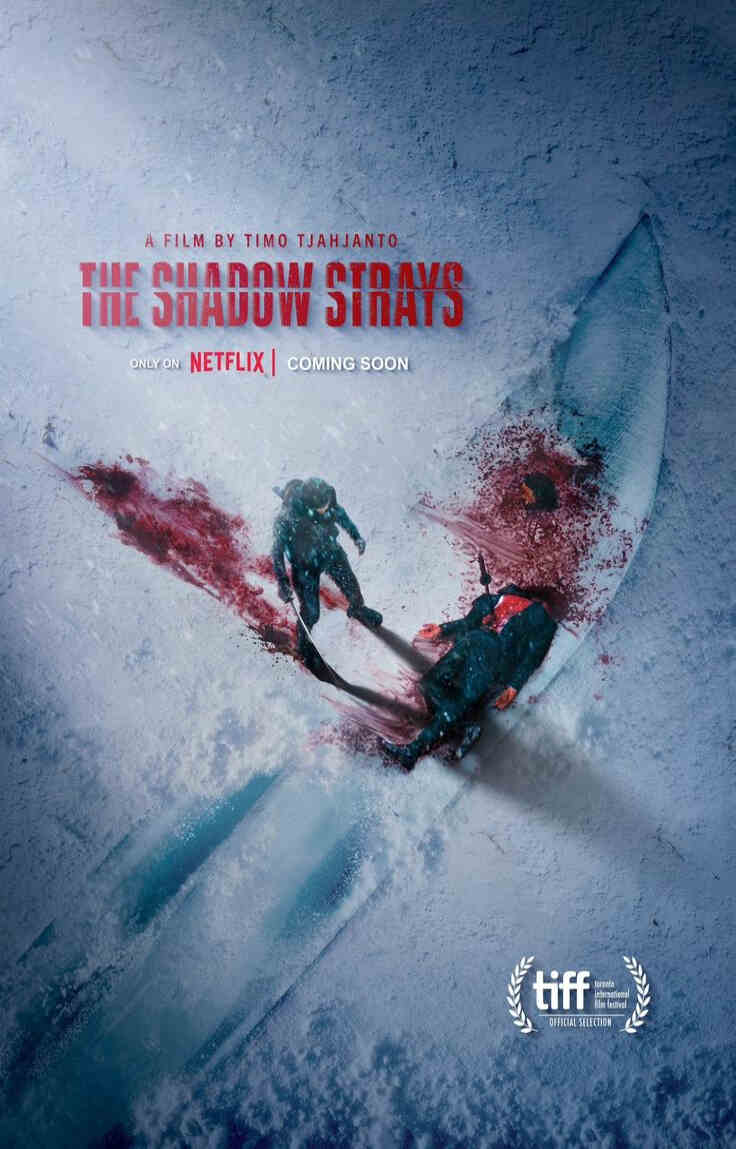 Download The Shadow Strays